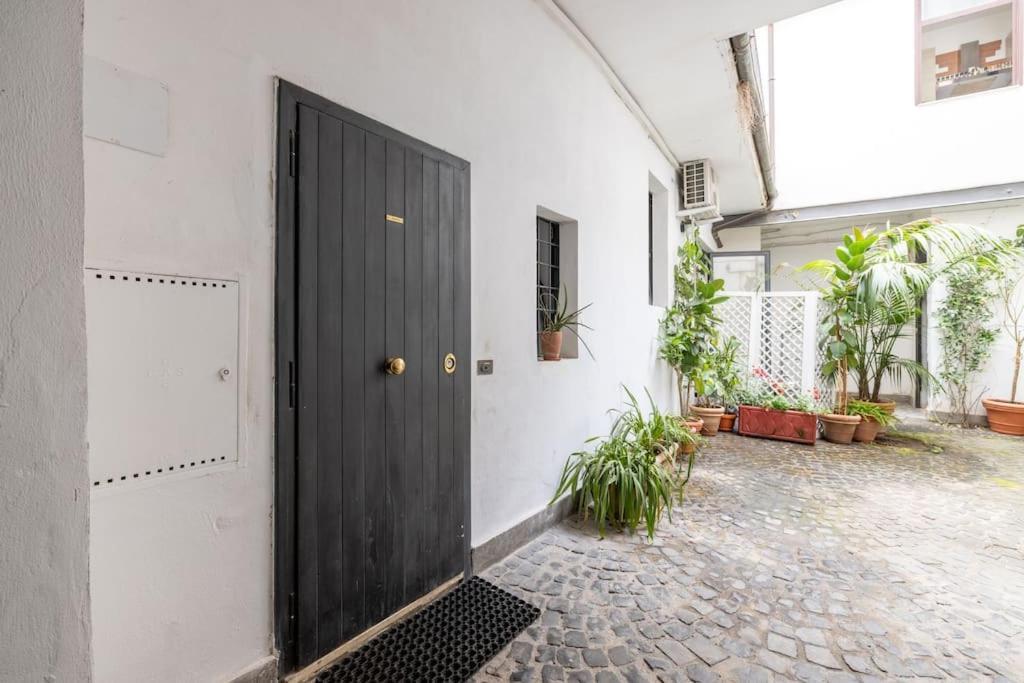 Colosseum Charming Apartment روما المظهر الخارجي الصورة